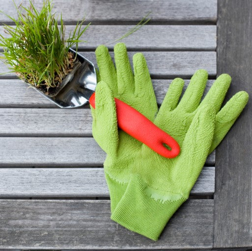 Gloves, trowel, and plant starts
