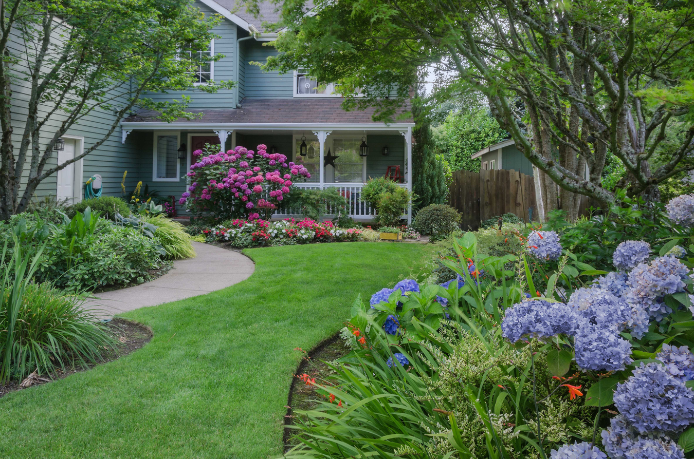 Sod in Front Landscape