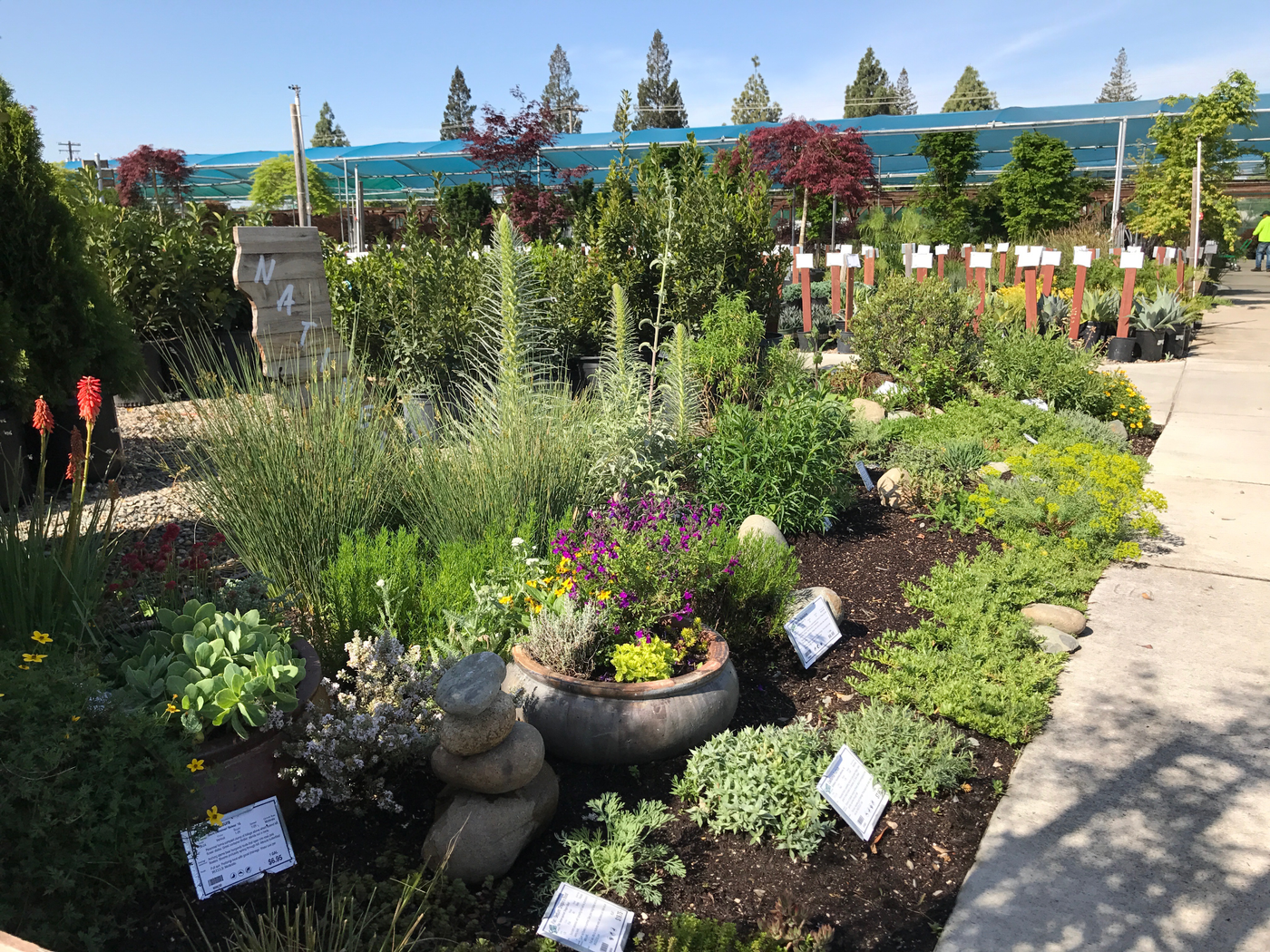Visit our California Natives Garden at our Sacramento location