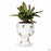 Accent Décor Buzzy Compote Planter with Bee Design 4.75 inch