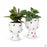 Accent Décor Buzzy Compote Planters