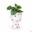 Accent Décor Buzzy Compote Planter with Ladybug Design 5.55 inch