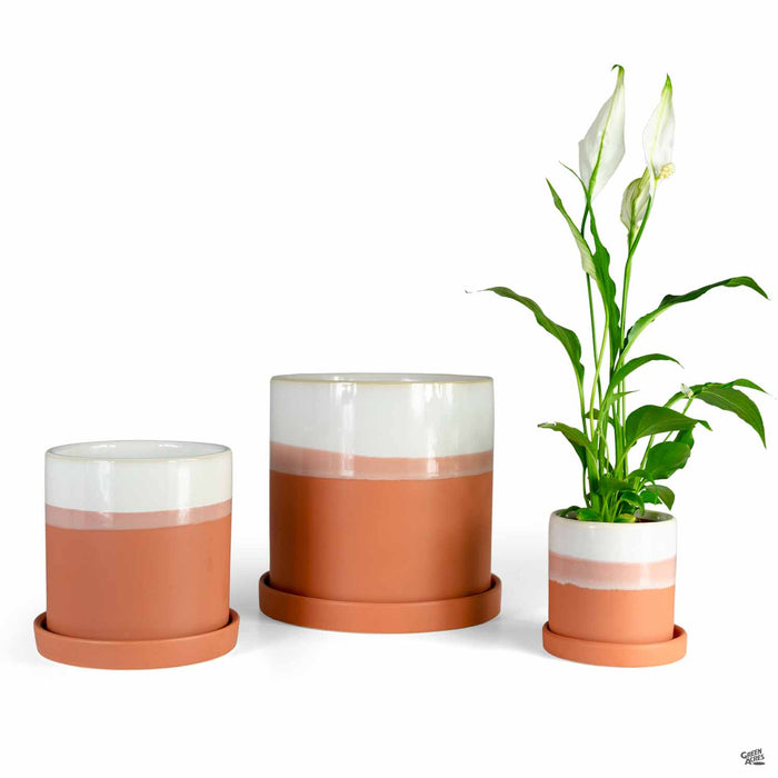 Hadley Planters