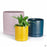 Romey Planters