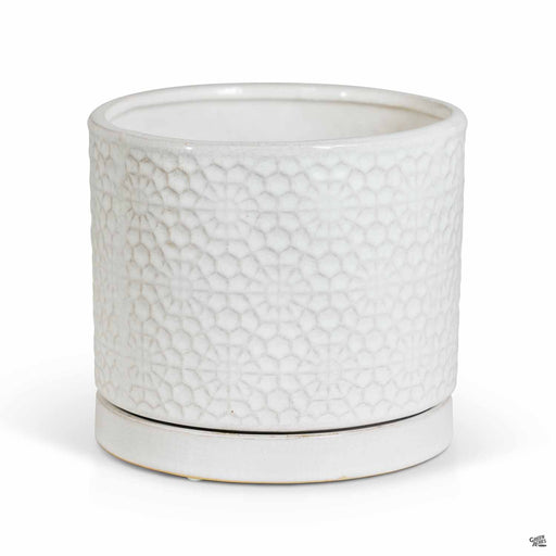 Amelia Cylinder White 7 inch