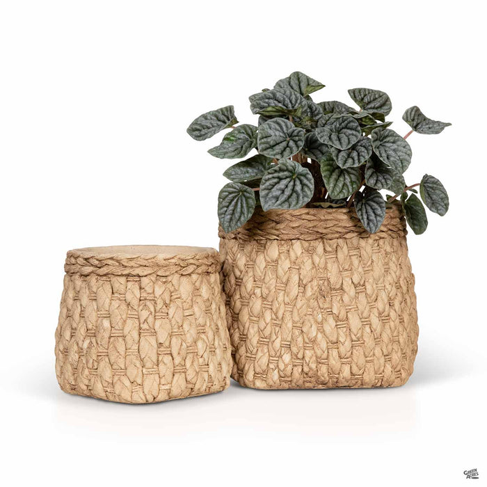 Basket Sack Planter Group