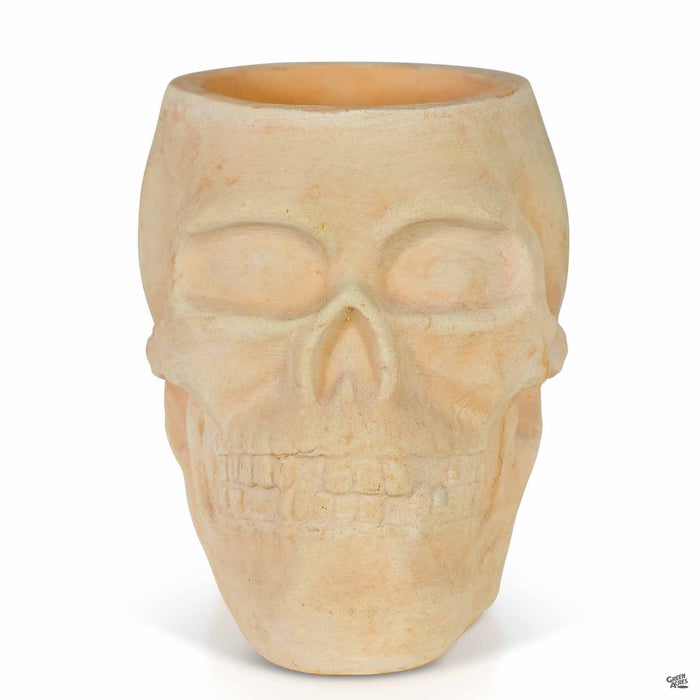 Ceramic Skull Planter