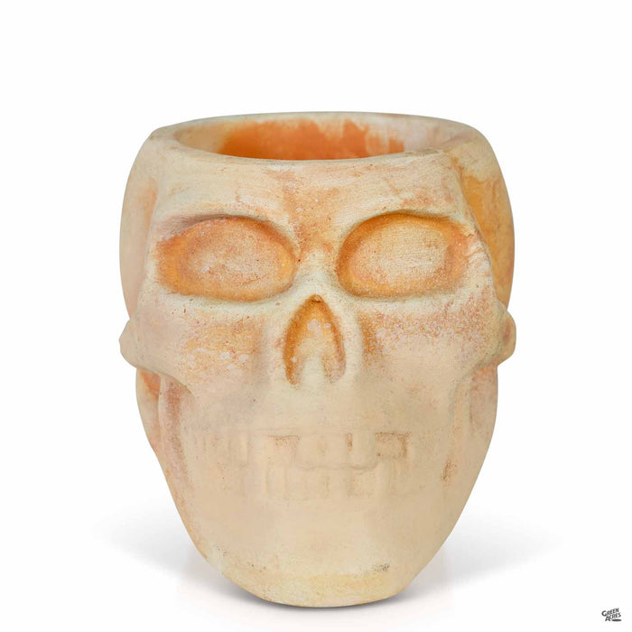 Ceramic Skull Planter