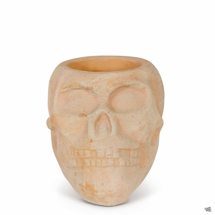 Ceramic Skull Planter