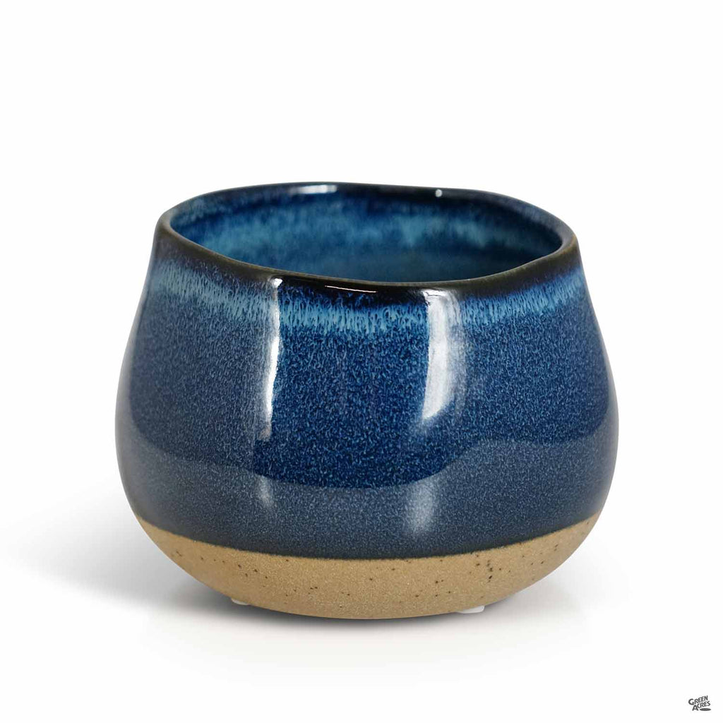 Dewdrop Pot — Green Acres Nursery & Supply