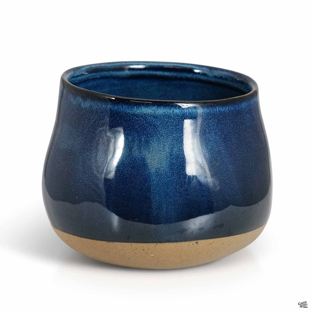 Dewdrop Pot — Green Acres Nursery & Supply