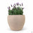 Elei Antique Terracotta Planter