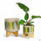 Painted Stripe Cache Pot with Stand -- Green Multi-Colored -- Group