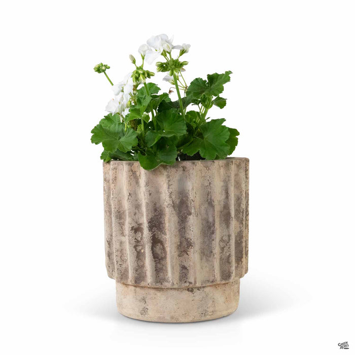 Turbine Antique Terracotta Planter