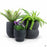 Textured Stone Planters in Black with Plants