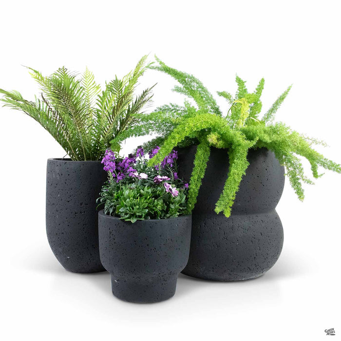 Textured Stone Planters in Black with Plants