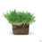 Bethel Farms Sod Pods Bermuda Grass Single Pod