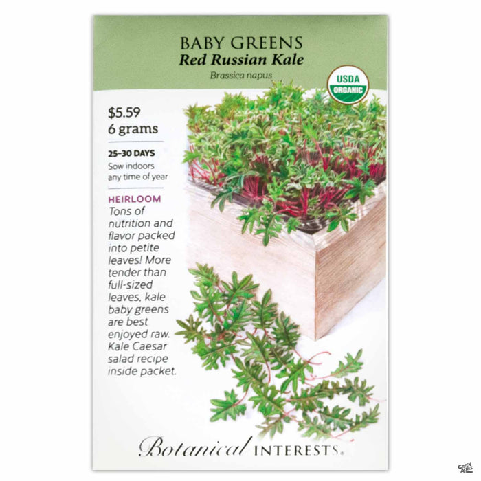 Botanical Interests Seeds Baby Greens Red Russian Kale