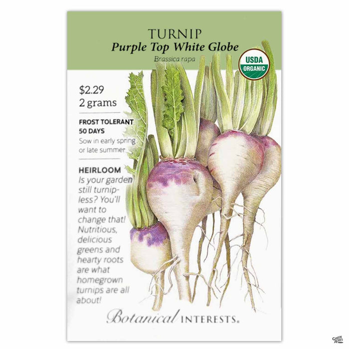 Turnip Purple Top White Globe Organic 2 grams