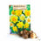 Narcissus Double Blend 15- pack