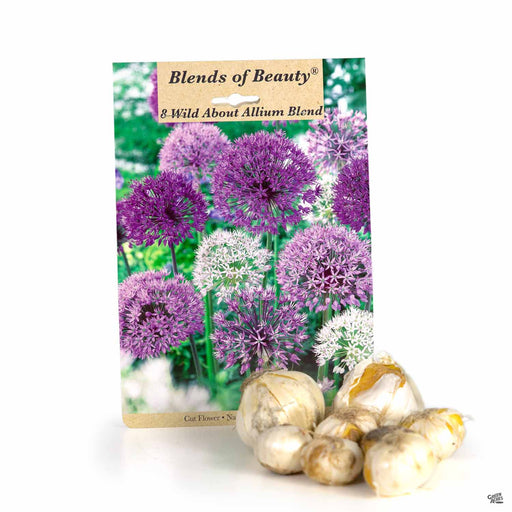 Wild About Allium Blend 8- pack