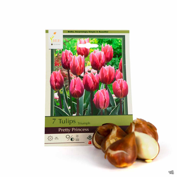Tulips Triumph Pretty Princess 7- pack