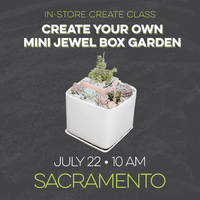 In-Store Create Class: Create Your Own Mini Jewel Box Garden. July 22 at 10 am in Sacramento.