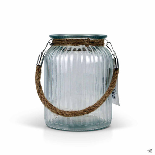 Cheungs Ribbed Jar Terrarium 