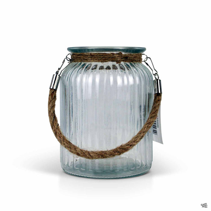 Cheungs Ribbed Jar Terrarium 
