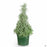 Lavender Goodwin Creek Christmas Cone 8 inch