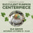 Create Class Succulent Pumpkin Centerpiece in Elk Grove on October 10 at 10 am.