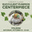 Create Class Succulent Pumpkin Centerpiece in Folsom on October 10 at 10 am.