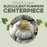 Create Class Succulent Pumpkin Centerpiece.