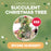 CREATE Class: Succulent Christmas Tree at the Irving Nursery for $50.