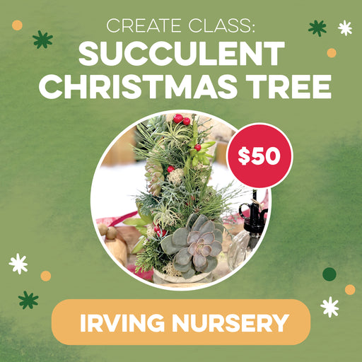 CREATE Class: Succulent Christmas Tree at the Irving Nursery for $50.
