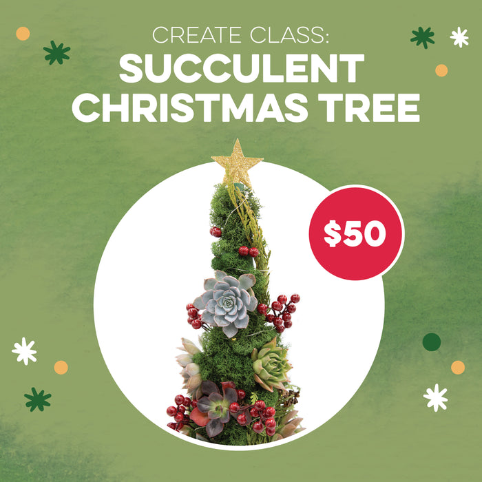 CREATE Class: Succulent Christmas Tree for $50