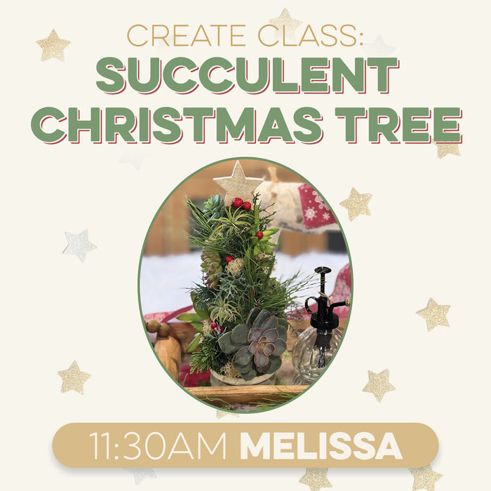 Create Class Succulent Christmas Tree at 11:30 AM in Melissa