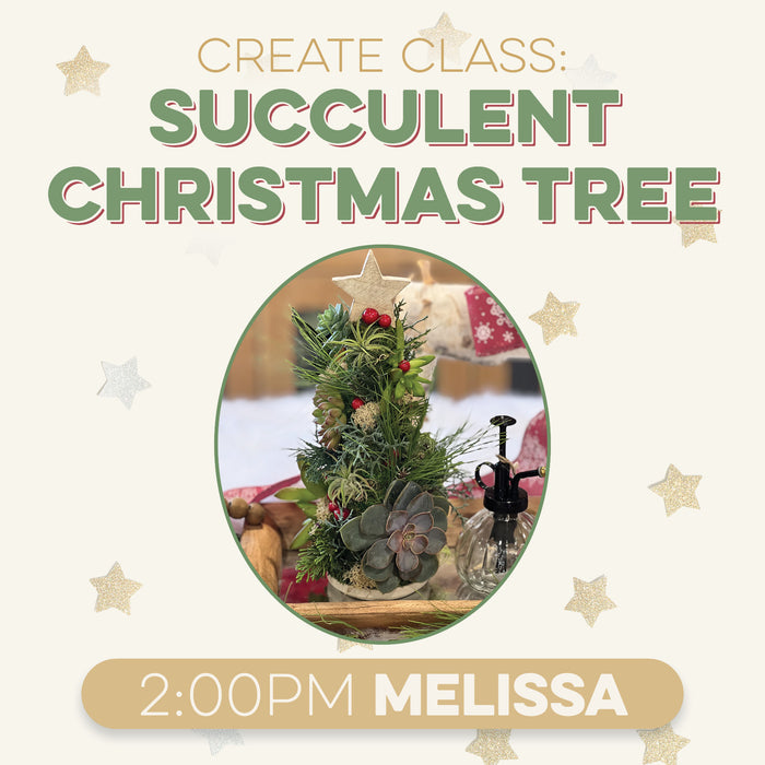 Create Class Succulent Christmas Tree at 2:00 PM in Melissa