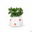 Strawberry Crock Planter 4 inch