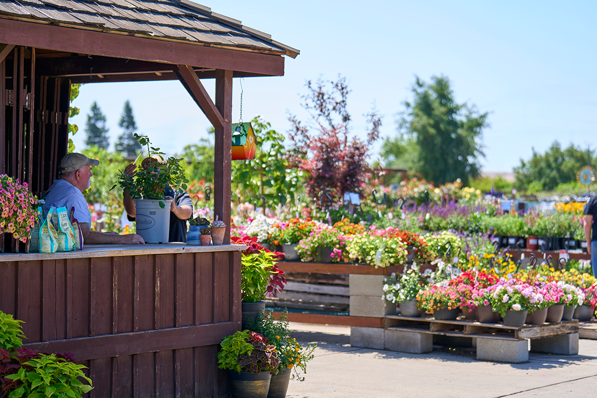 Green Acres Nursery & Supply