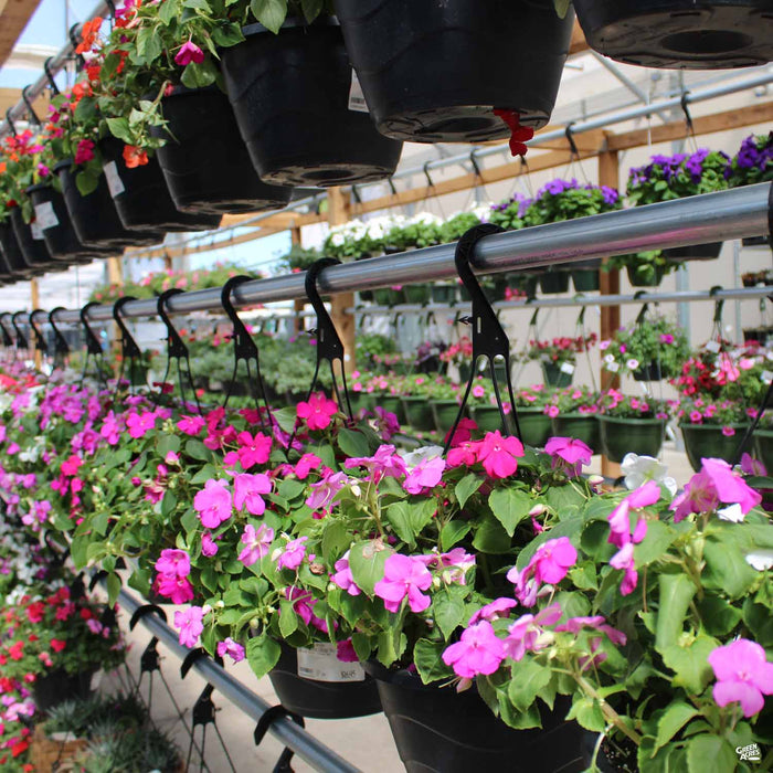 Texas Hanging Baskets Spring 2025