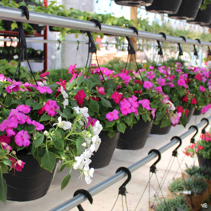 Texas Hanging Baskets Spring 2025