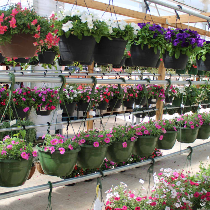 Texas Hanging Baskets Spring 2025