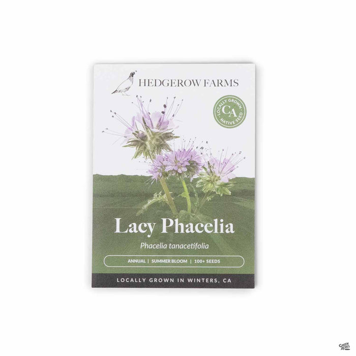 Hedgerow Farms Lacy Phacelia Seeds