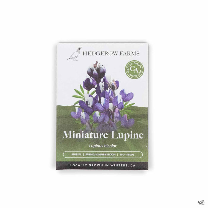 Hedgerow Farms Miniature Lupine Seeds