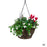 Hanging Basket 10"