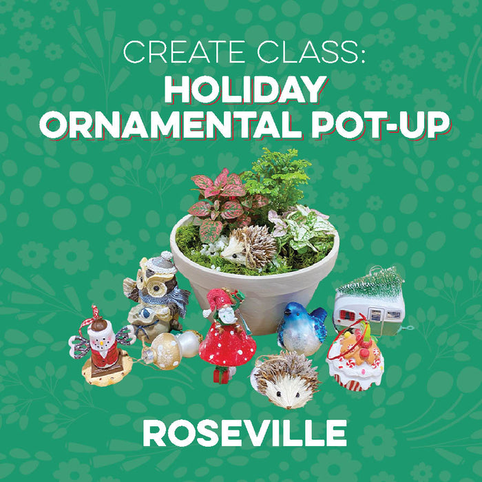 Create Class: Holiday Ornamental Pot Up at Roseville