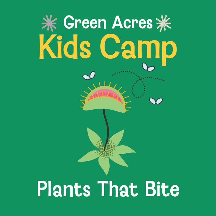 Kids Camp Plants That Bite