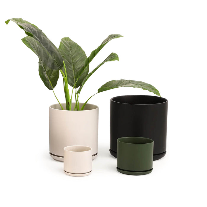 Revival Cylinder Planters