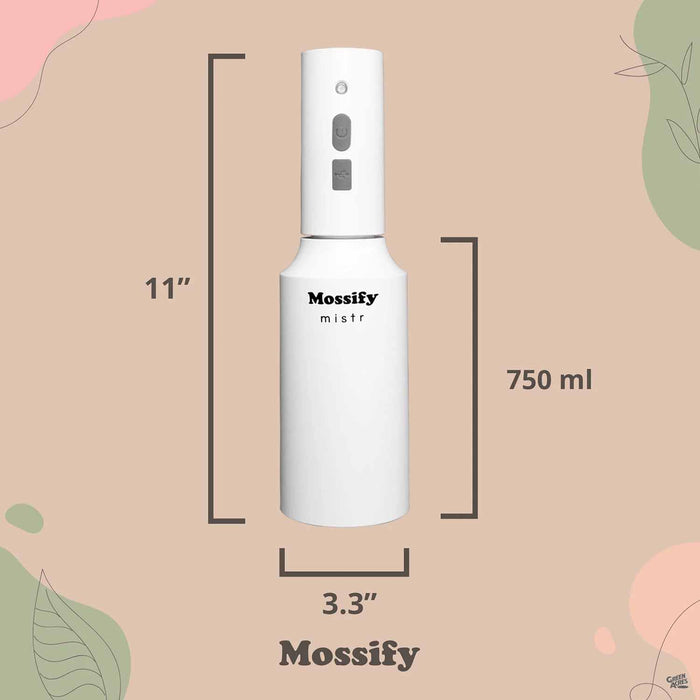 The Original Mossify mistr Dimensions